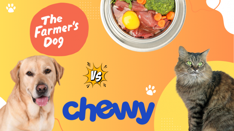 The Farmer’s Dog - Fresh Food vs. Chewy: Which Service Deserves a Spot in Your Pup’s Bowl?