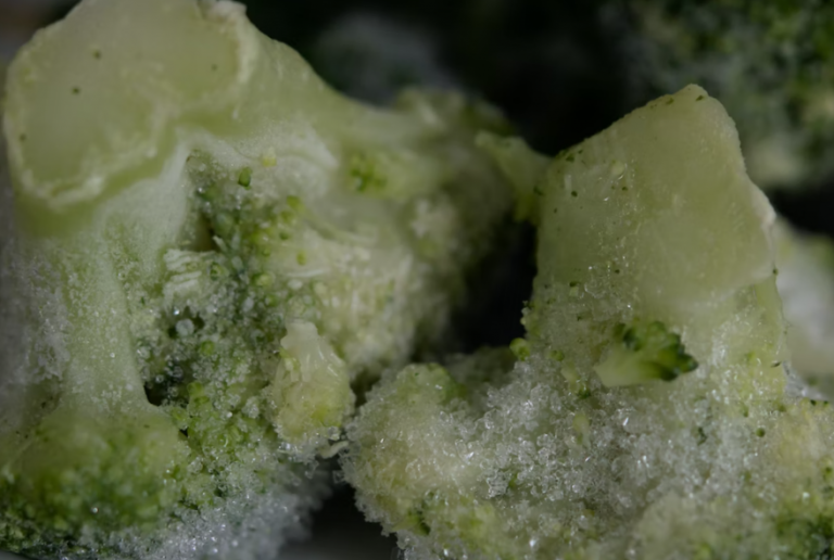 How to freeze food Without Plastic: Best & Most Eco-Friendly ways