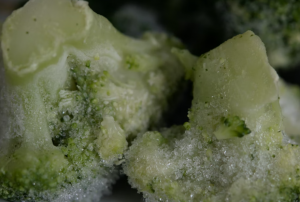 How to freeze food Without Plastic: Best & Most Eco-Friendly ways