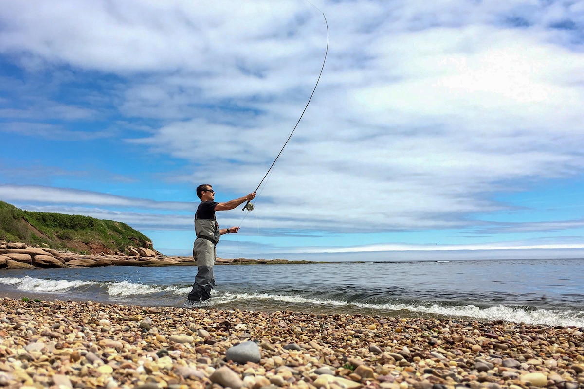Top 5 Best Surf Fishing Rods